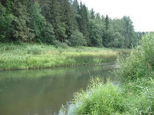 Ljubimski rajon