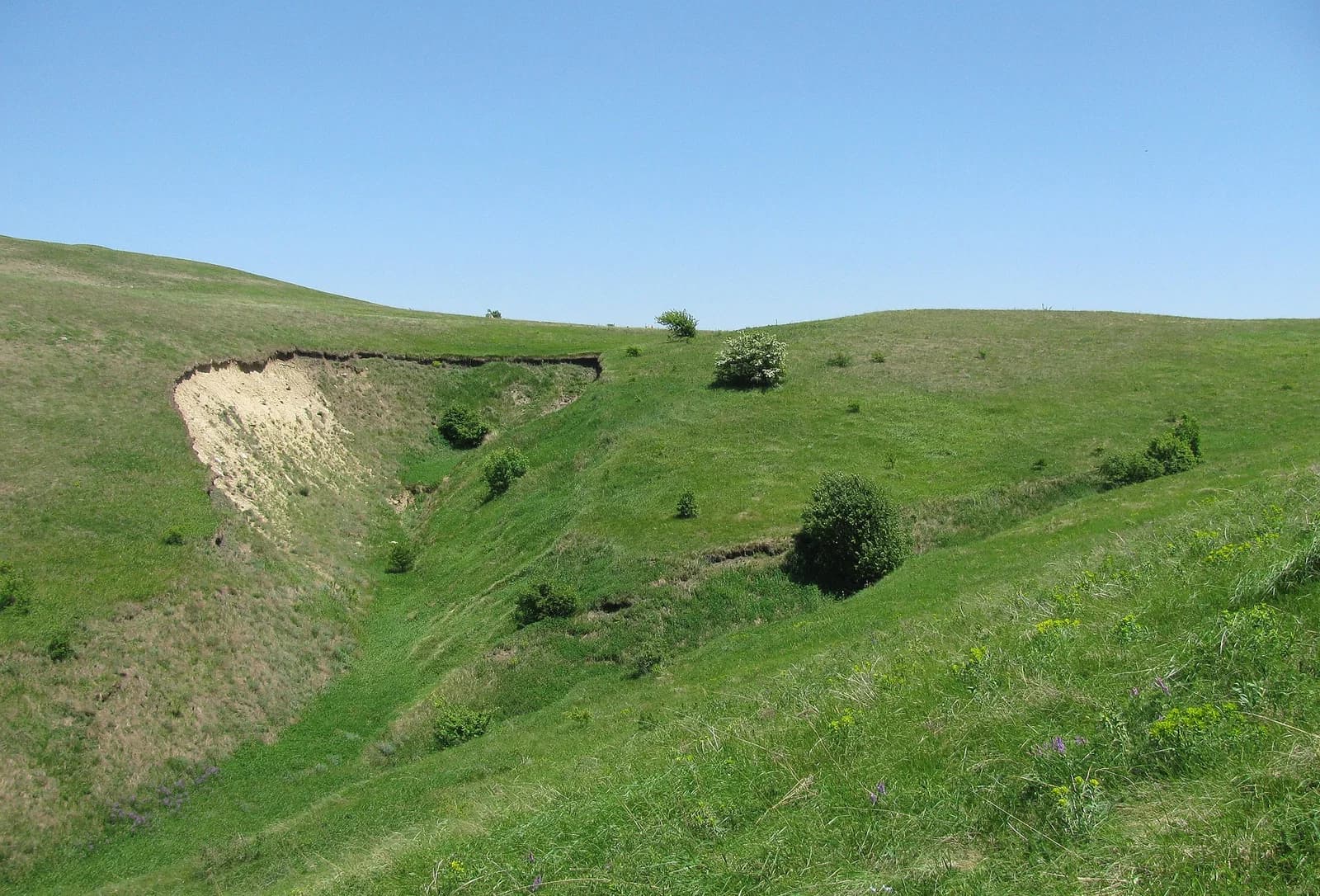 Alexandrovsky District, Stavropol Krai
