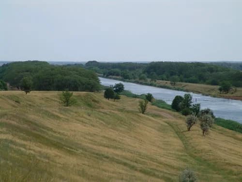 Martynovsky District