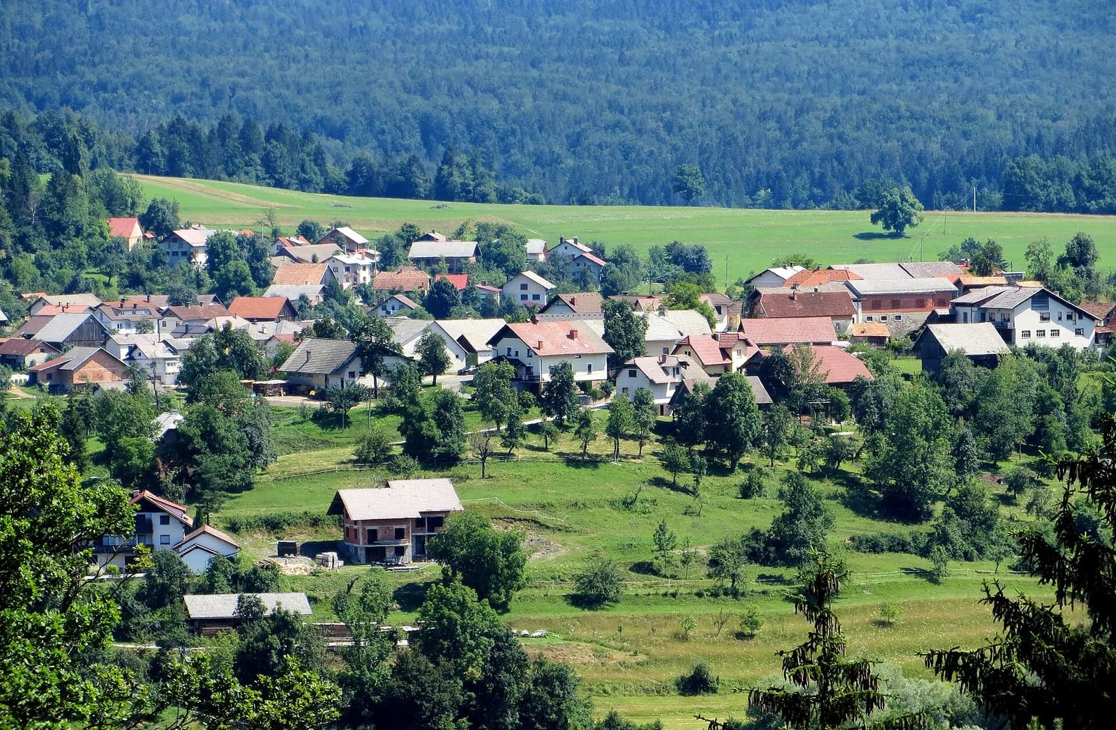 Vinice