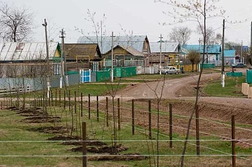 Menzelinsky District