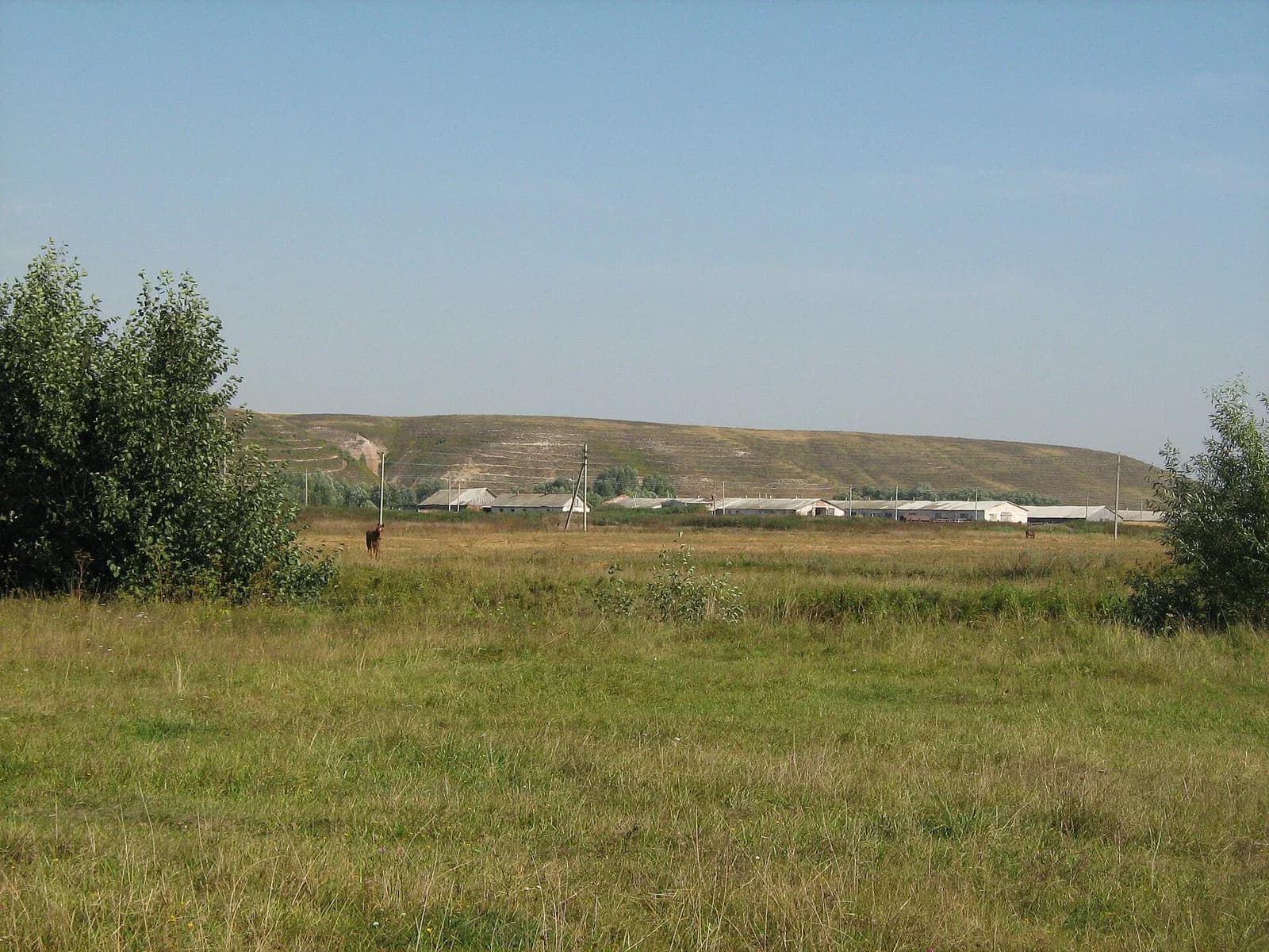 Tyulyachinsky District