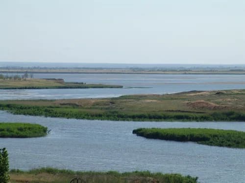Salsky District