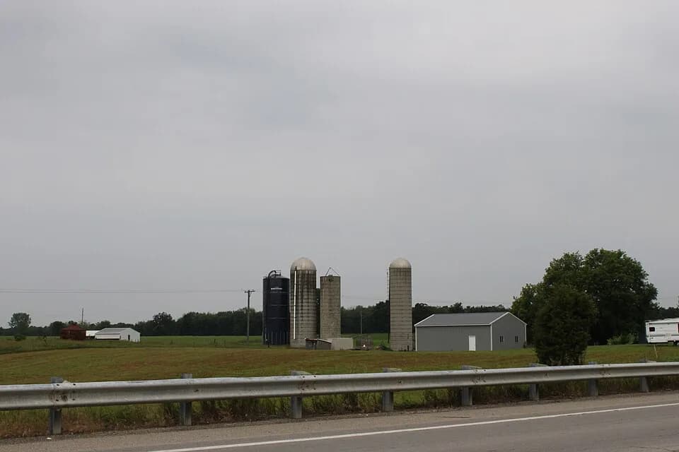Lyndon Township