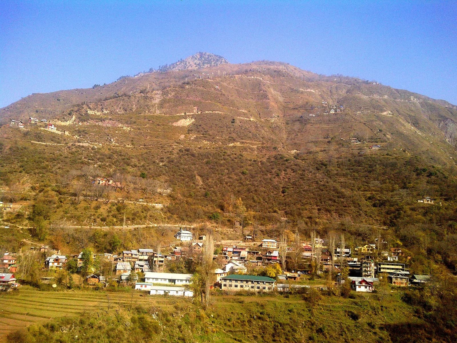 Uri