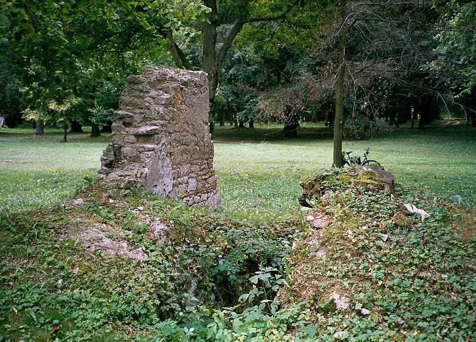 Czarkowy