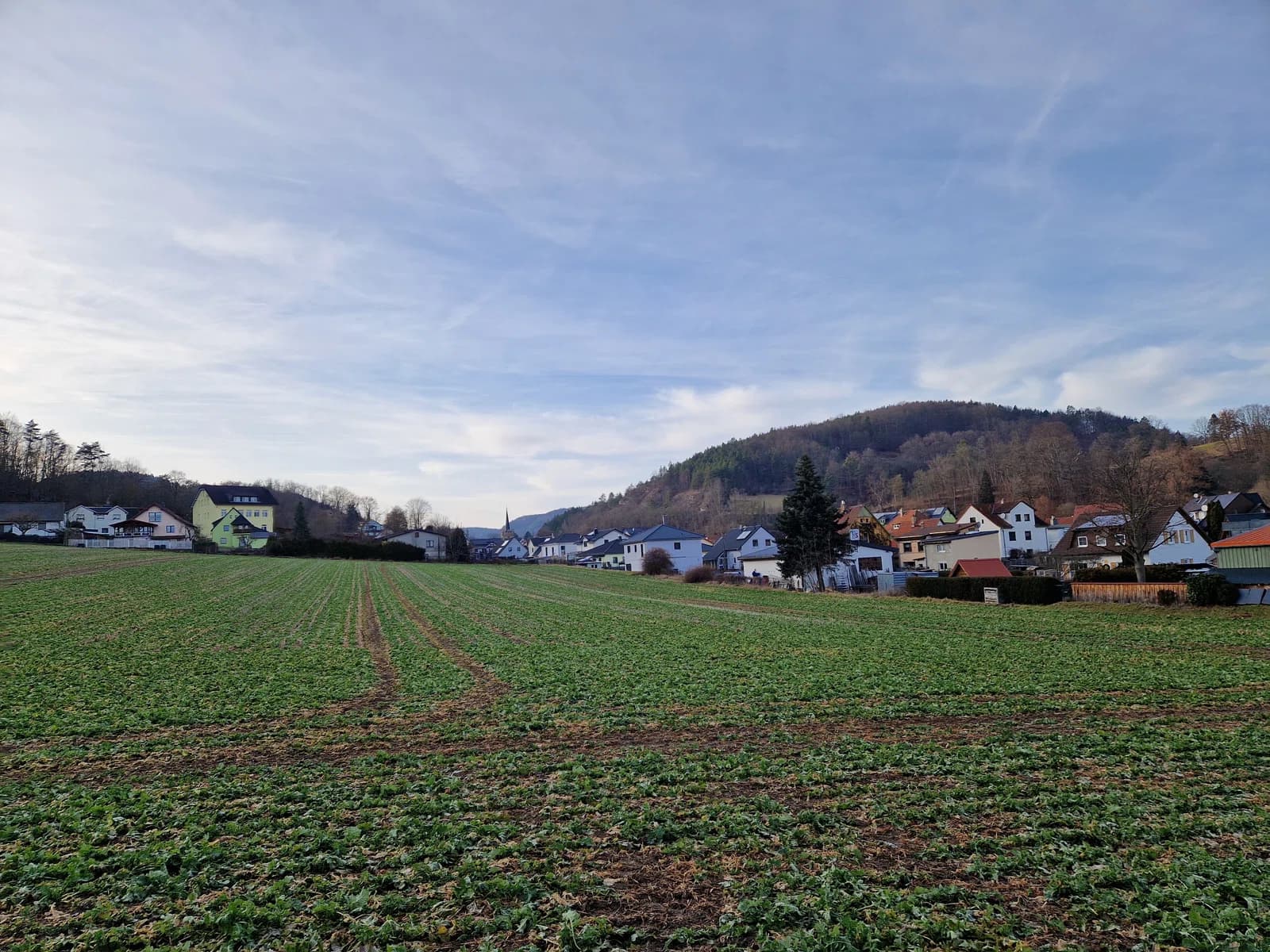 Schaala