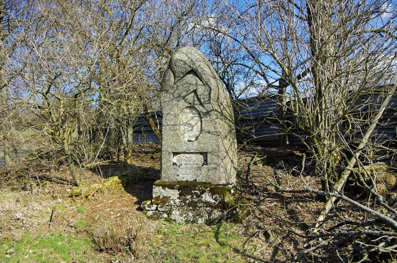 Žitná