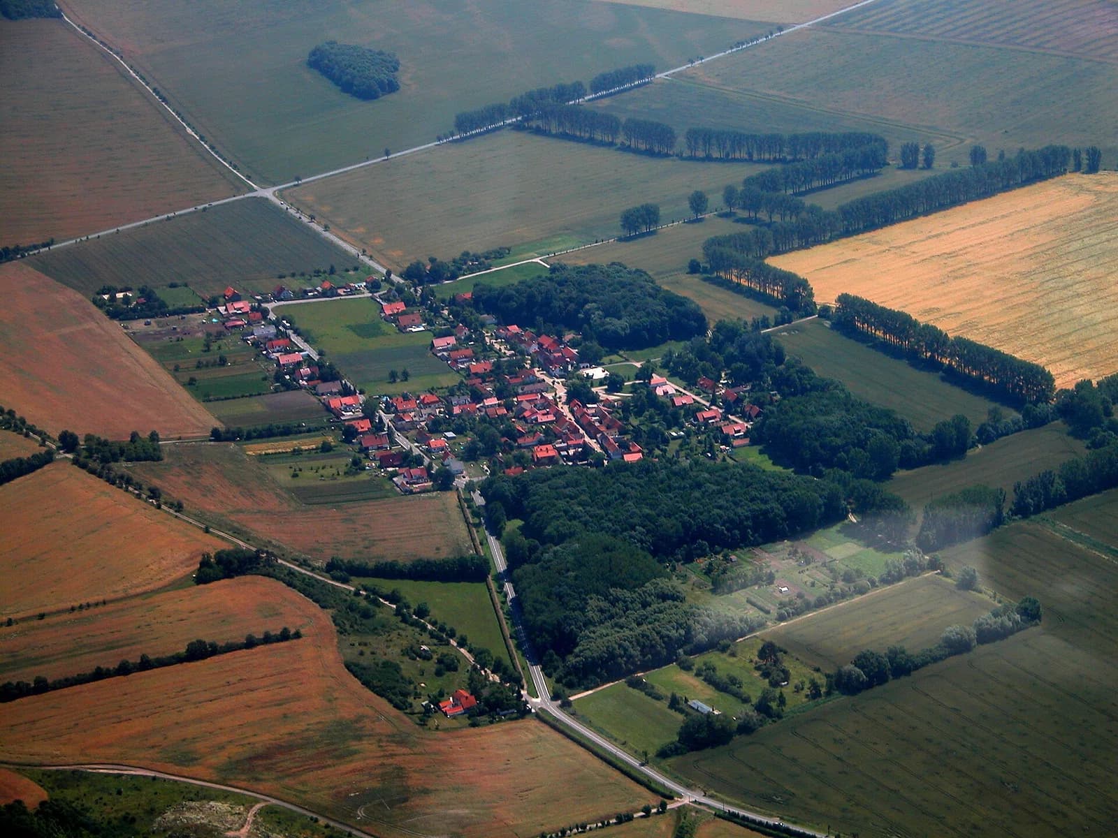 Schilfa