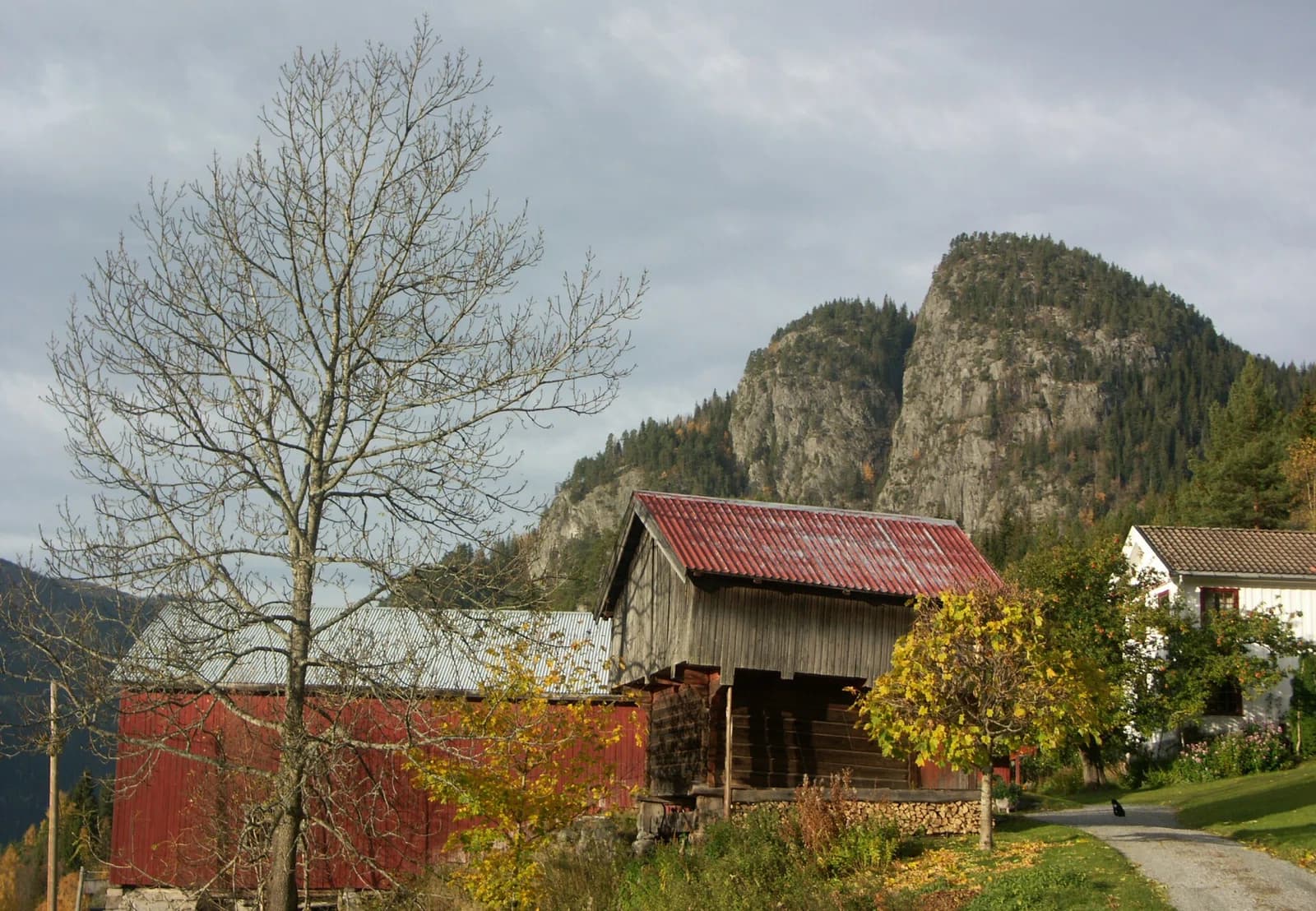 Seljord Municipality