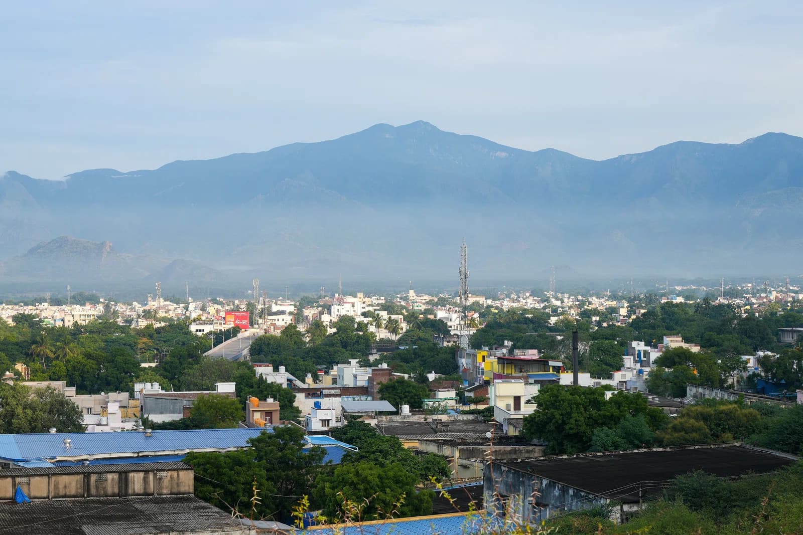 Rajapalayam