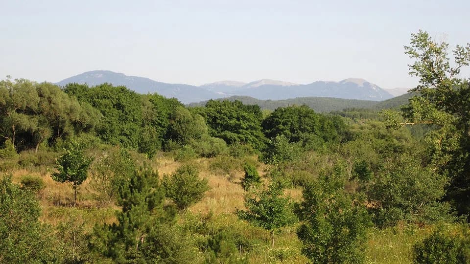 Rajon Simferopol