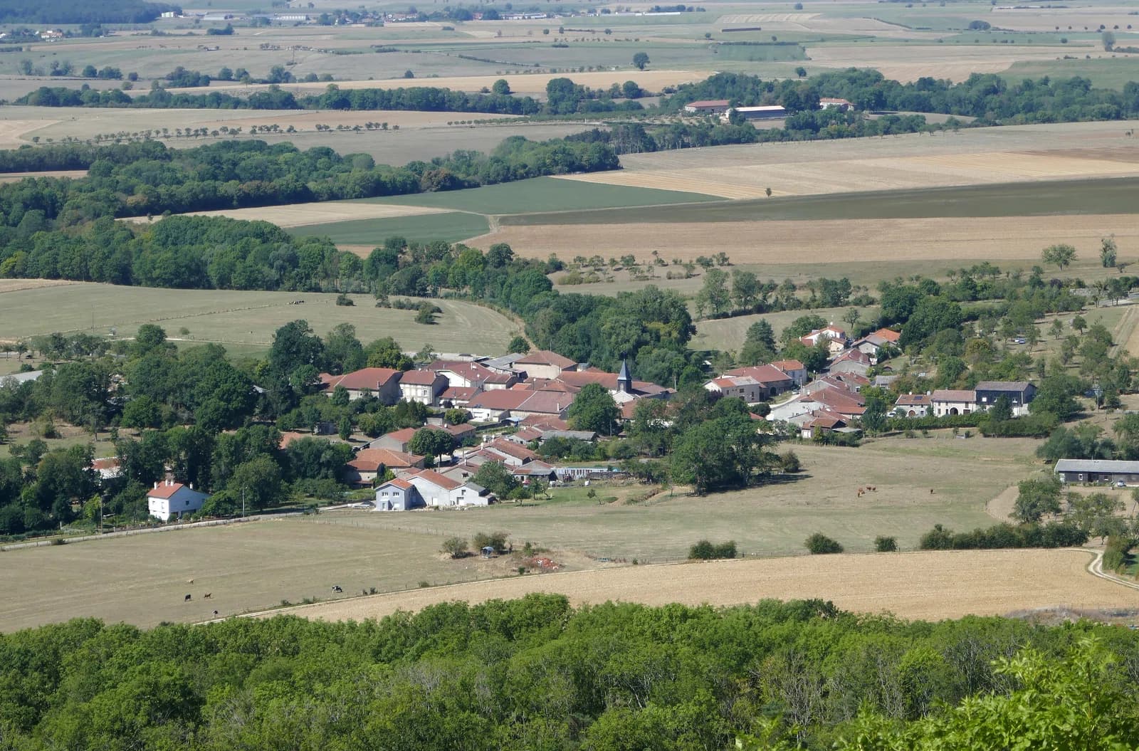 Saxon-Sion