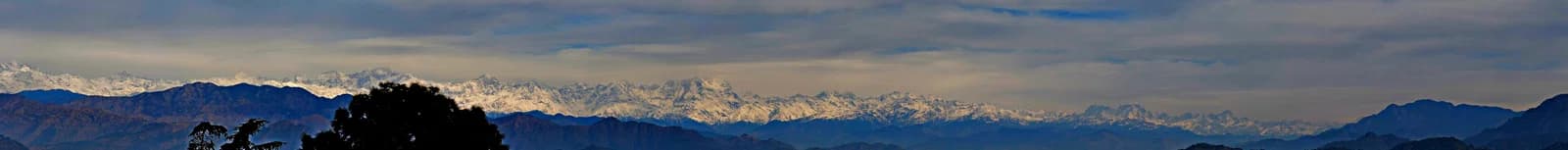 Pauri