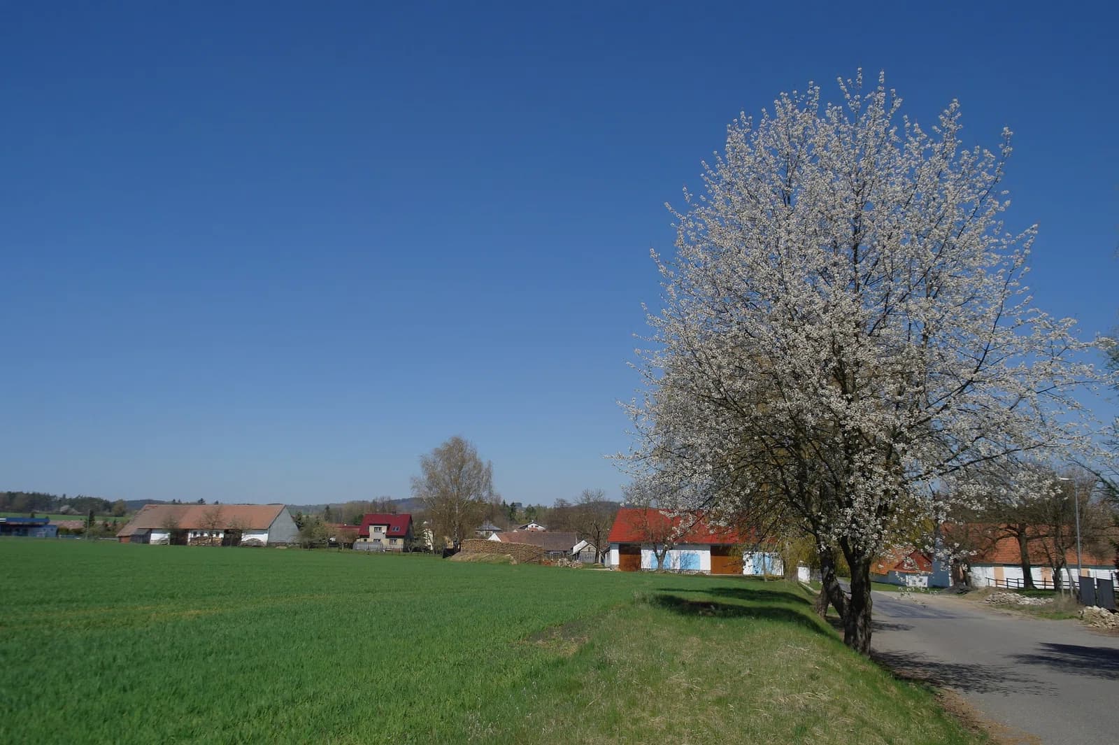 Drhovice