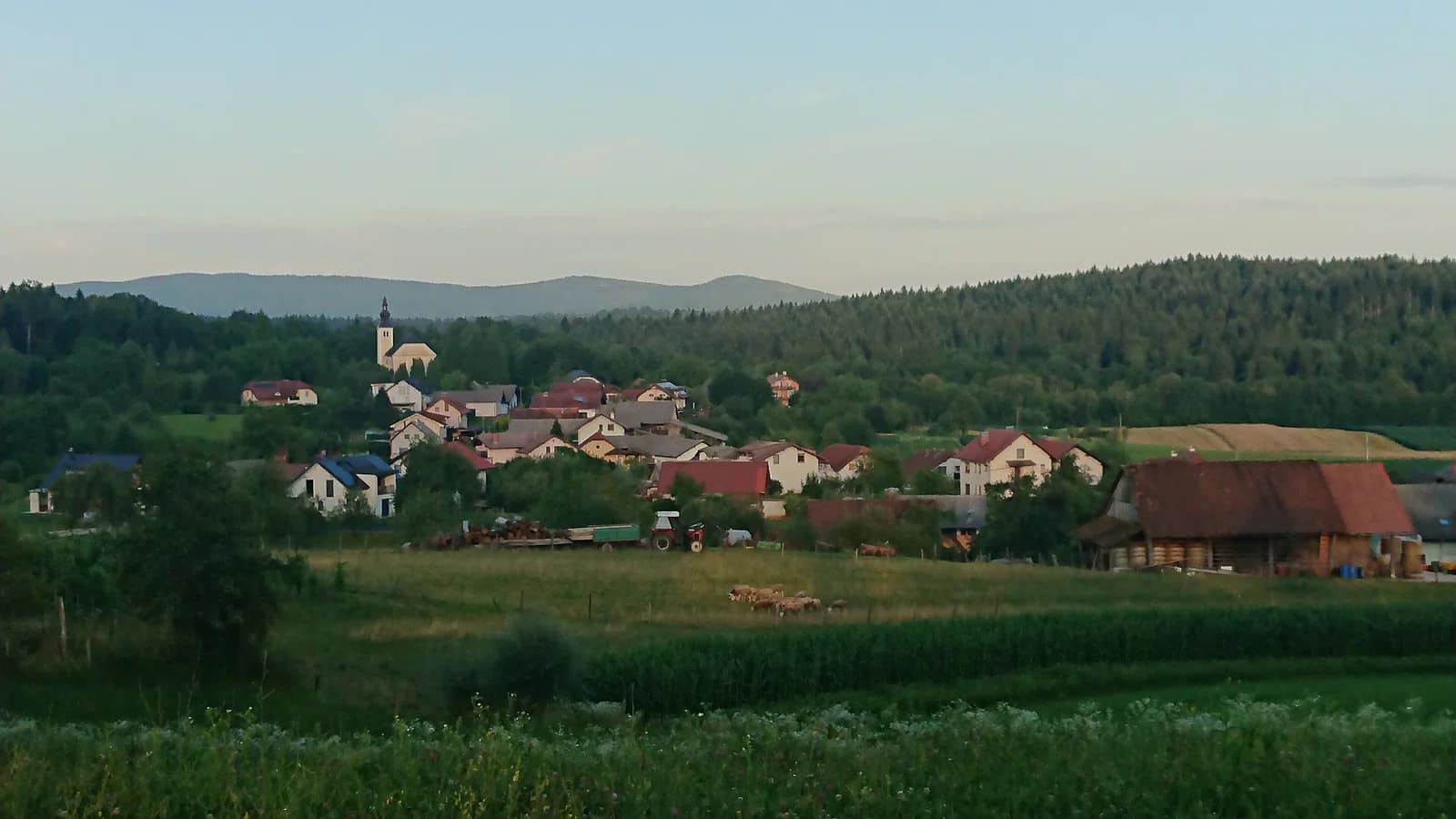 Vojna vas