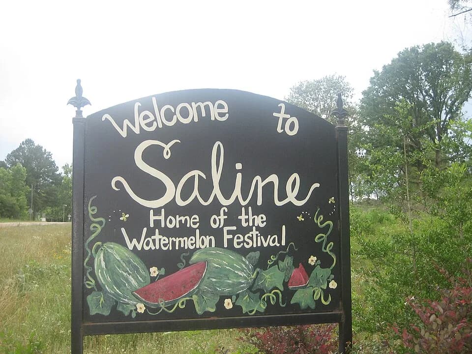 Saline
