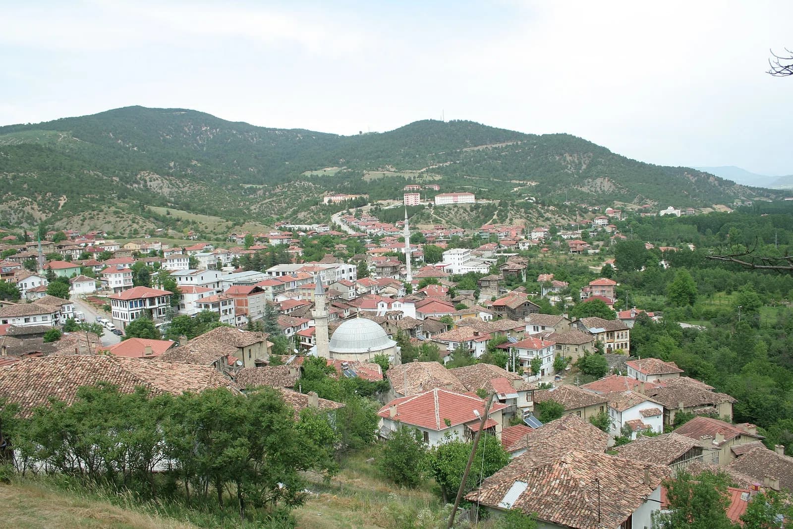 Taraklı district