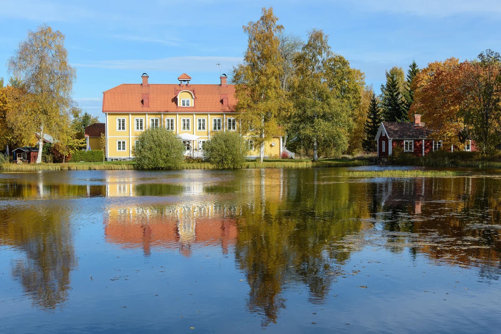 Bjurfors