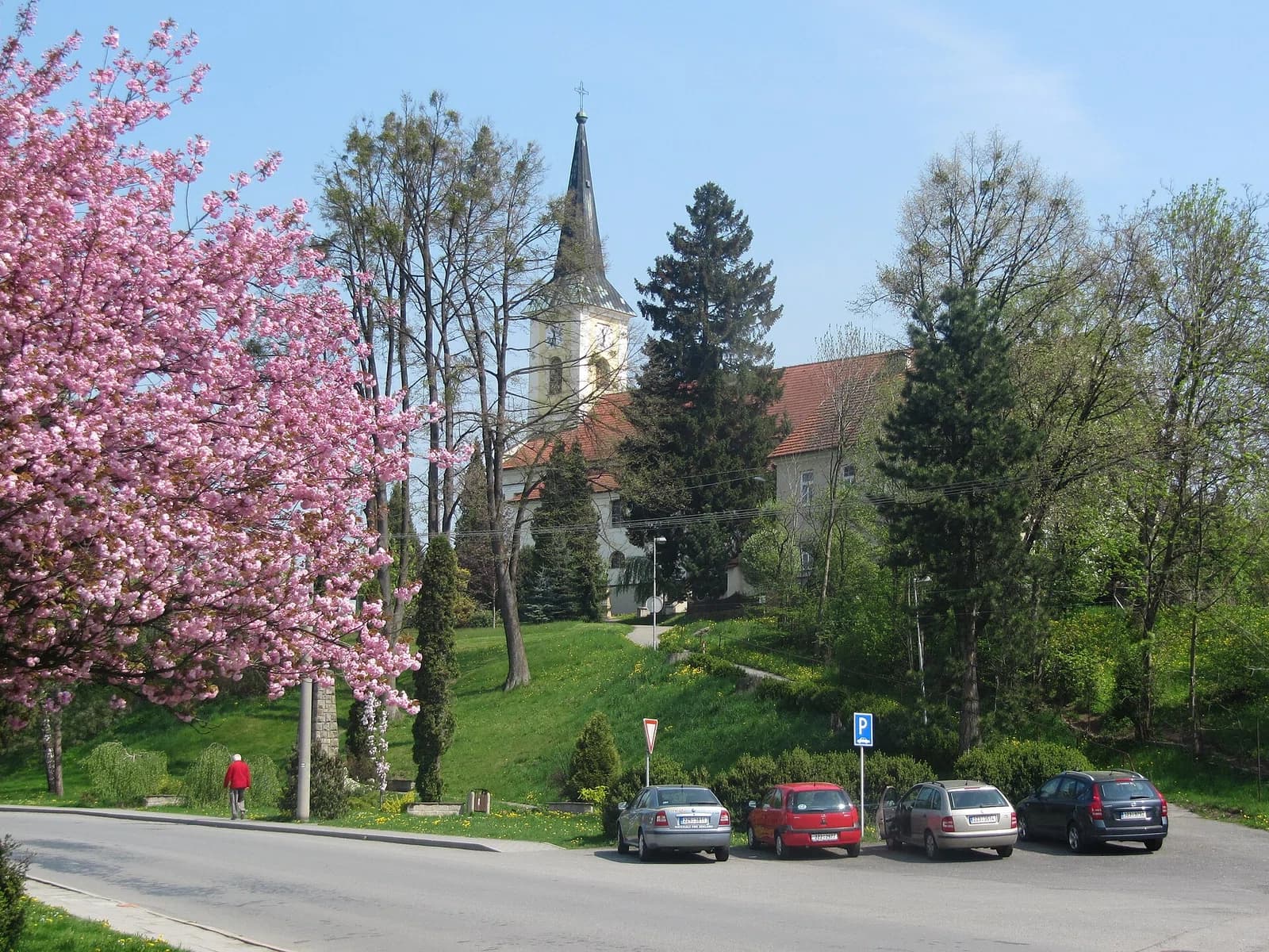 Zubří
