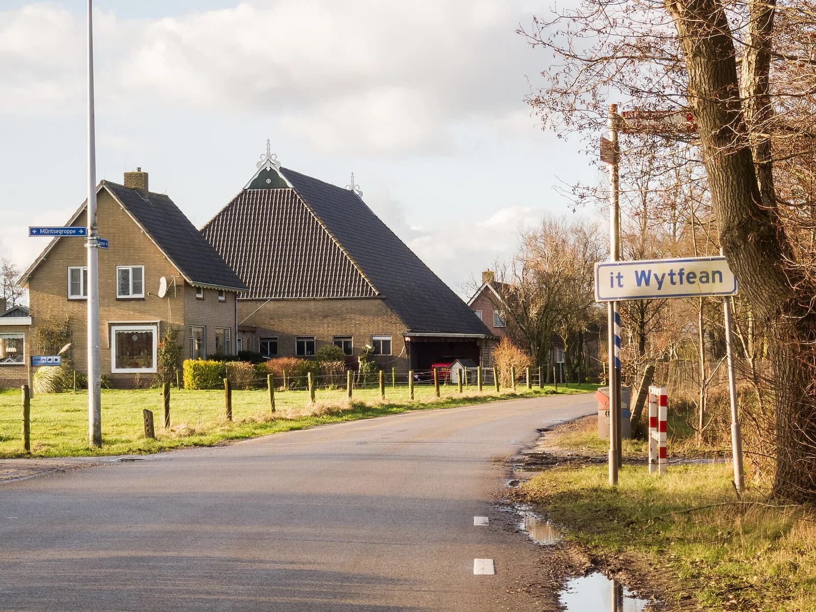 It Wytfean