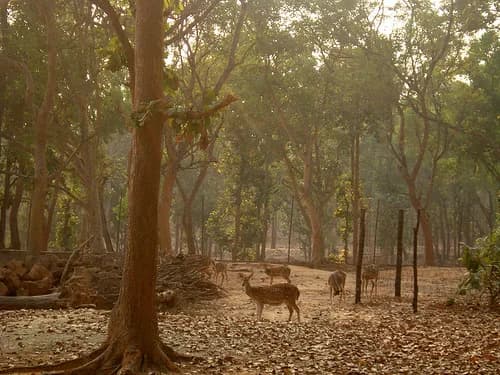 Jhargram
