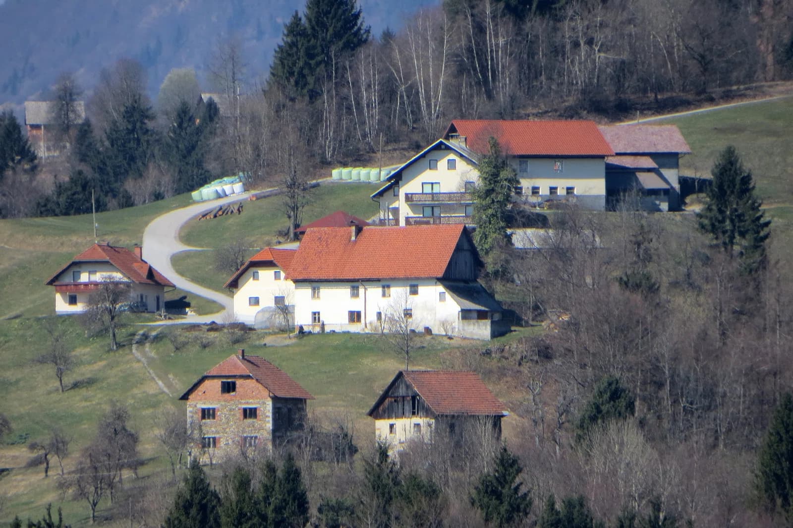 Lajše