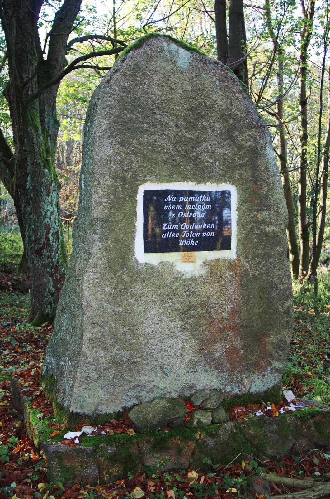 Ostrov