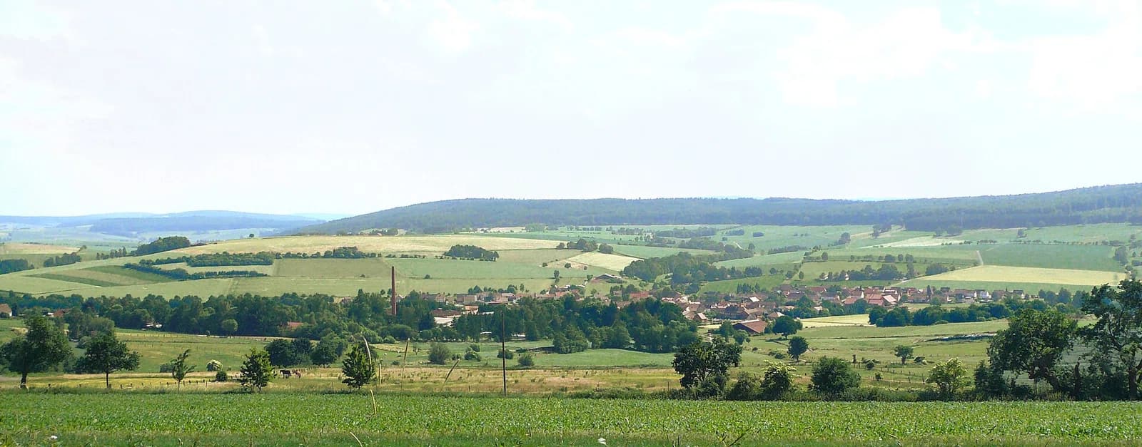 Sohlingen