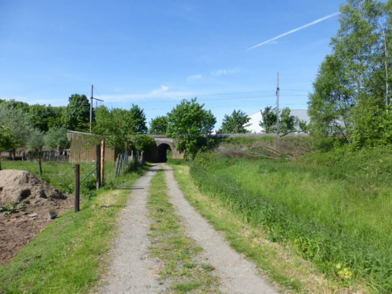 Blaasveld