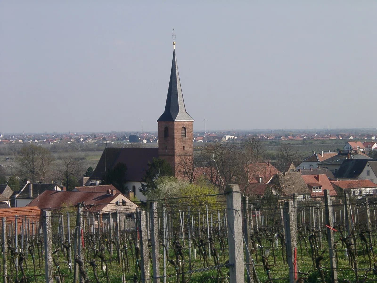 Forst an der Weinstraße