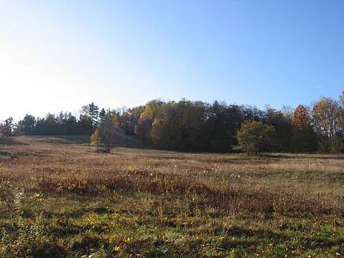 Plainfield