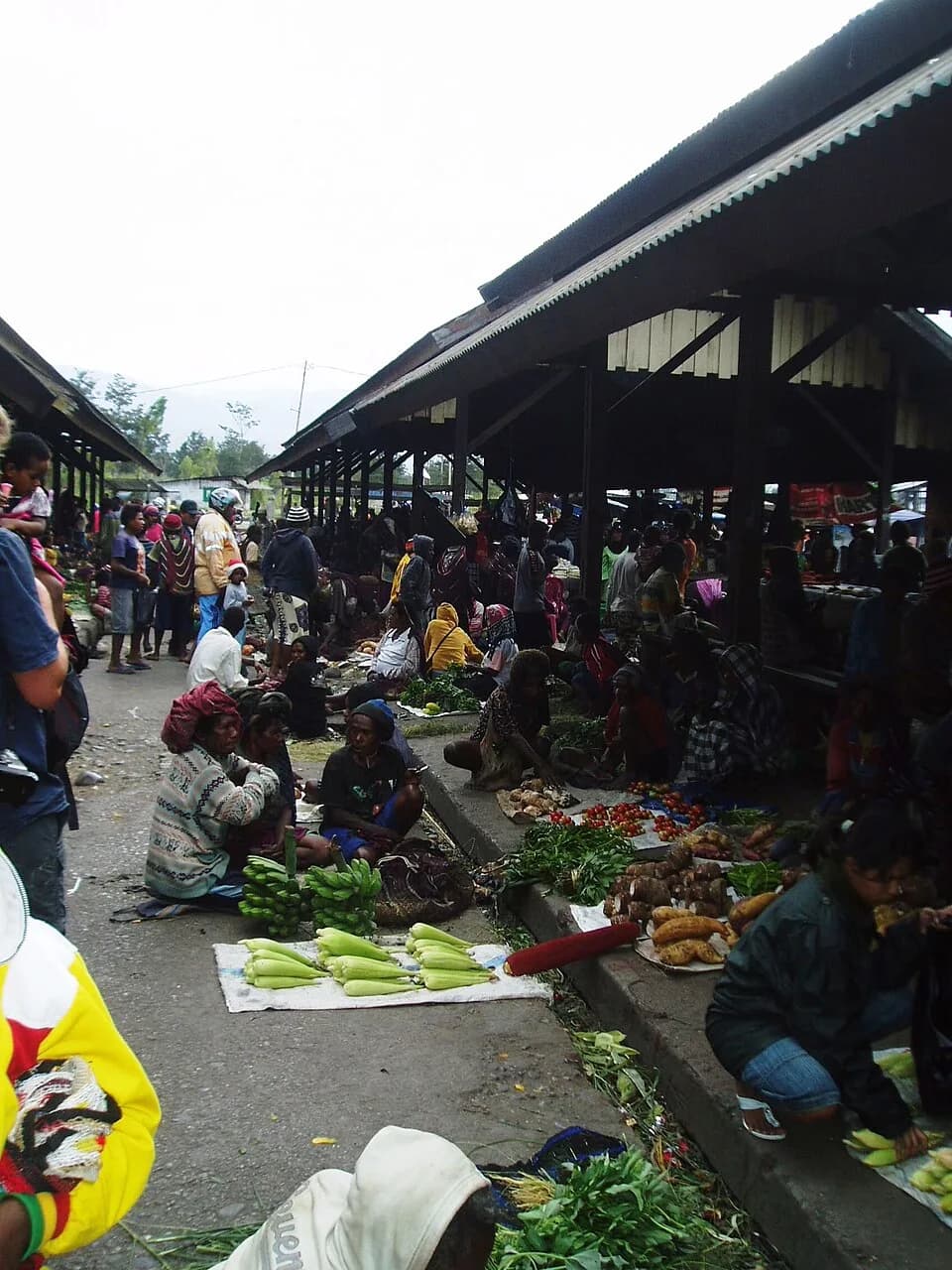 Wamena