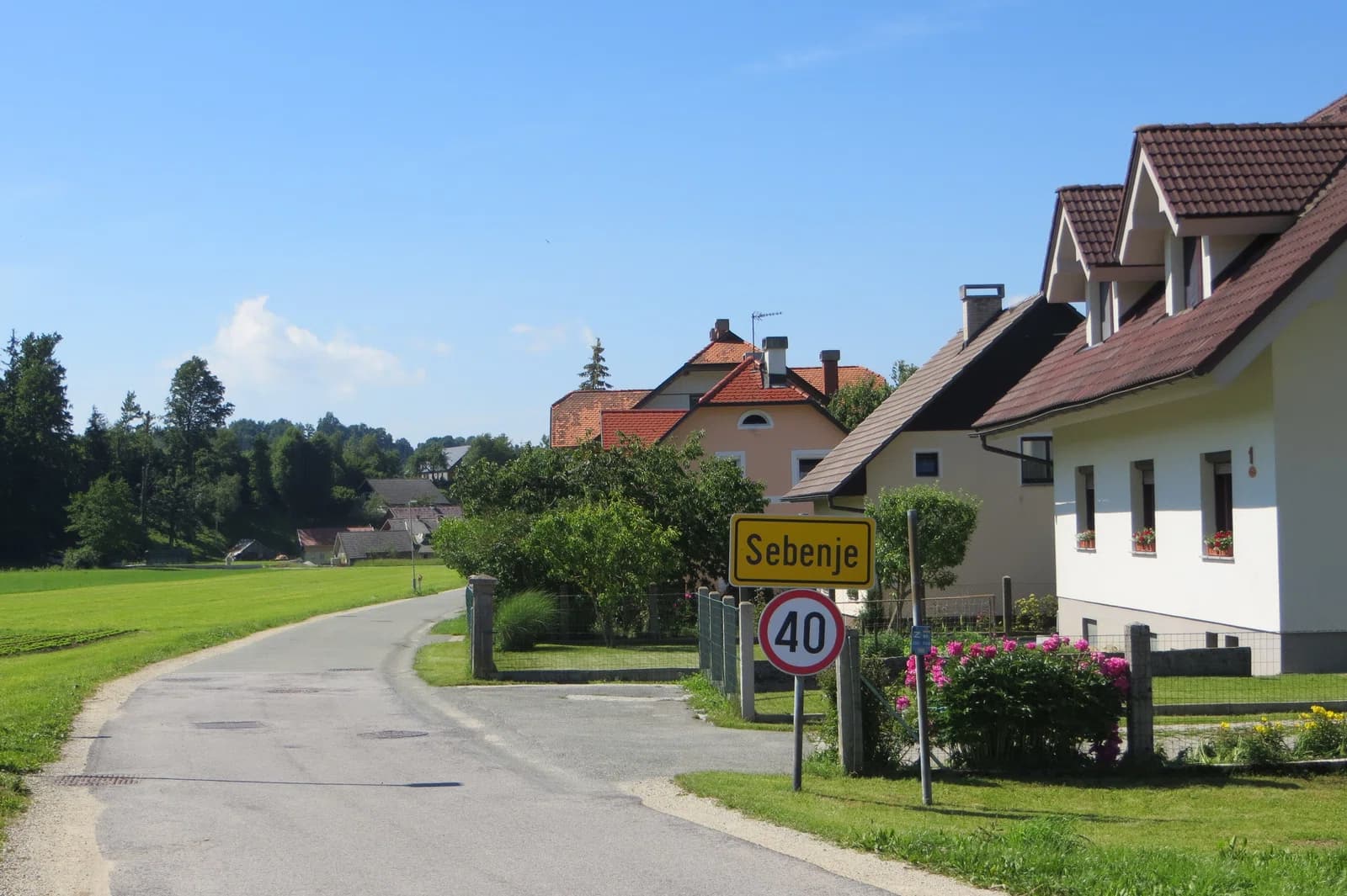 Sebenje