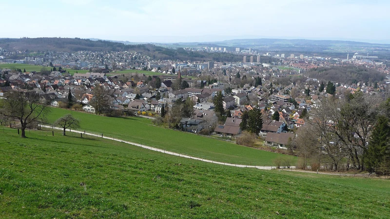 Spiegel