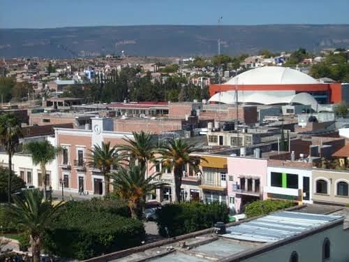 Calvillo