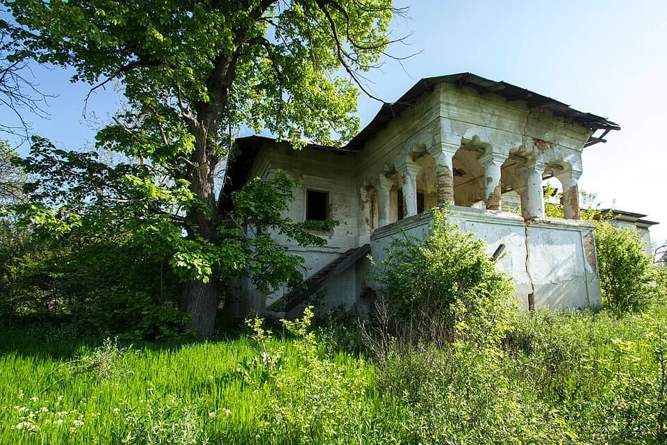 Coțofenii din Față
