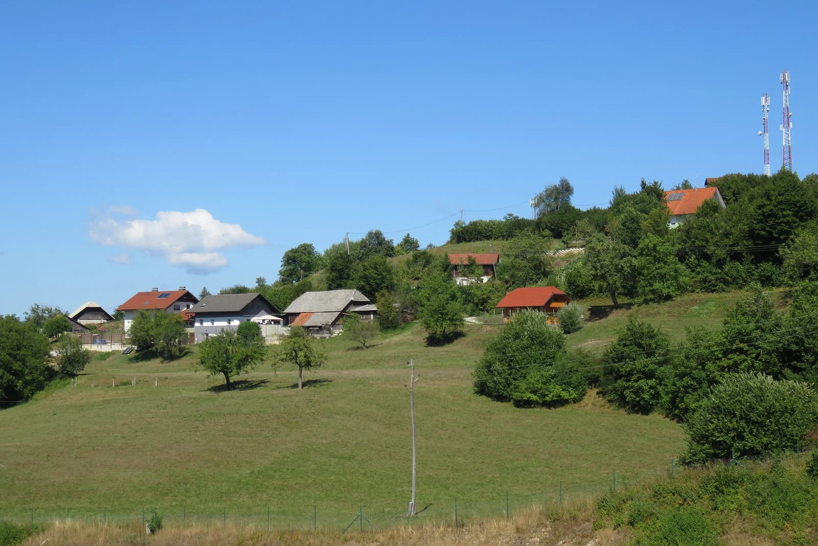 Medvedjek