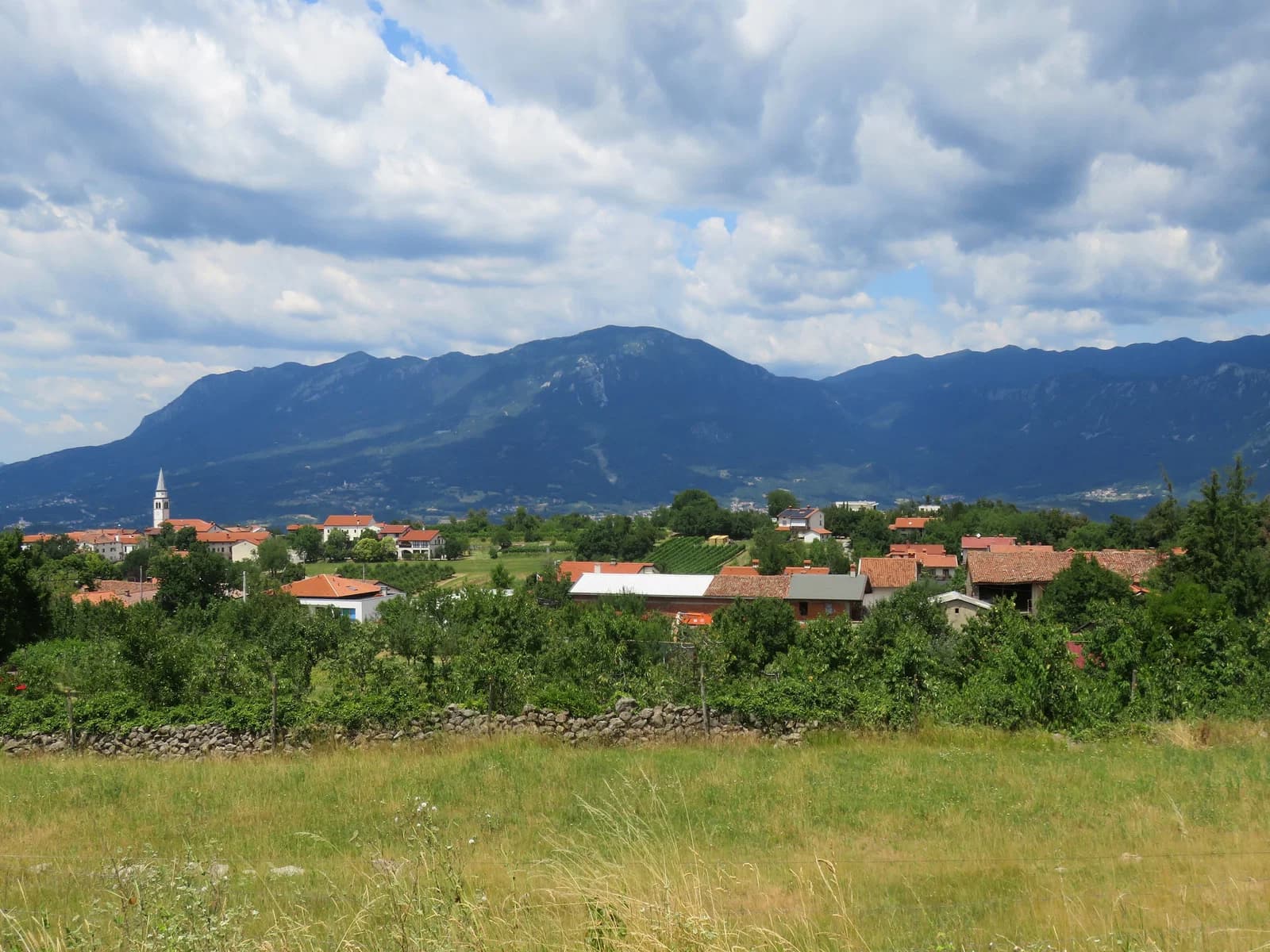Planina