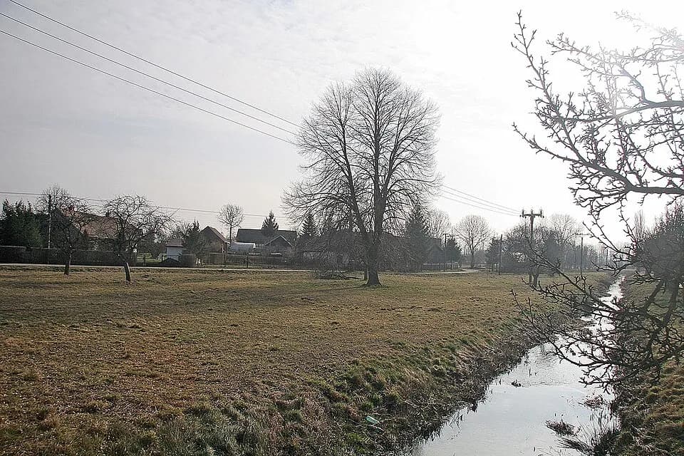 Nevratice