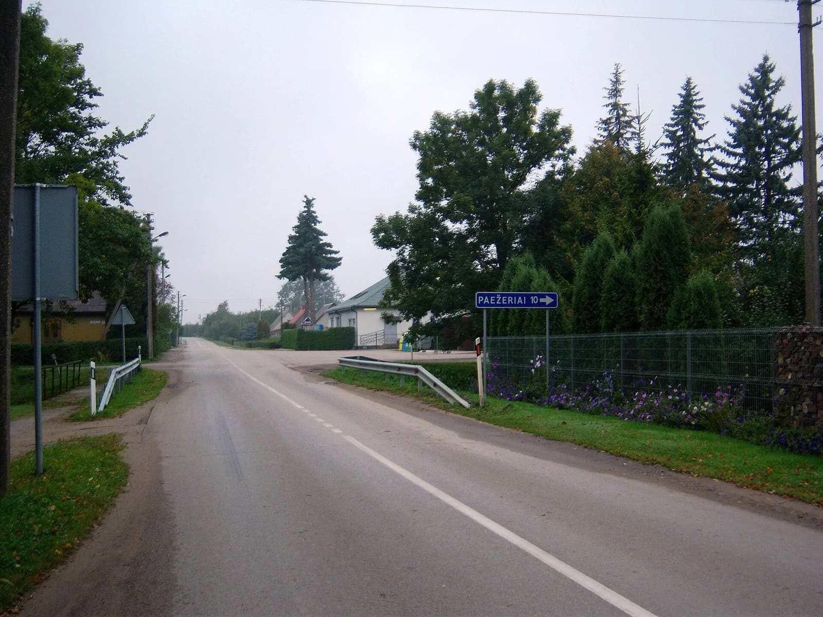 Šunskai