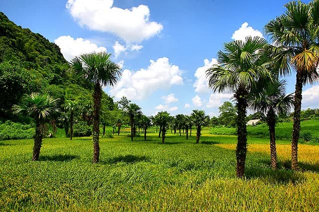 Tuyên Quang