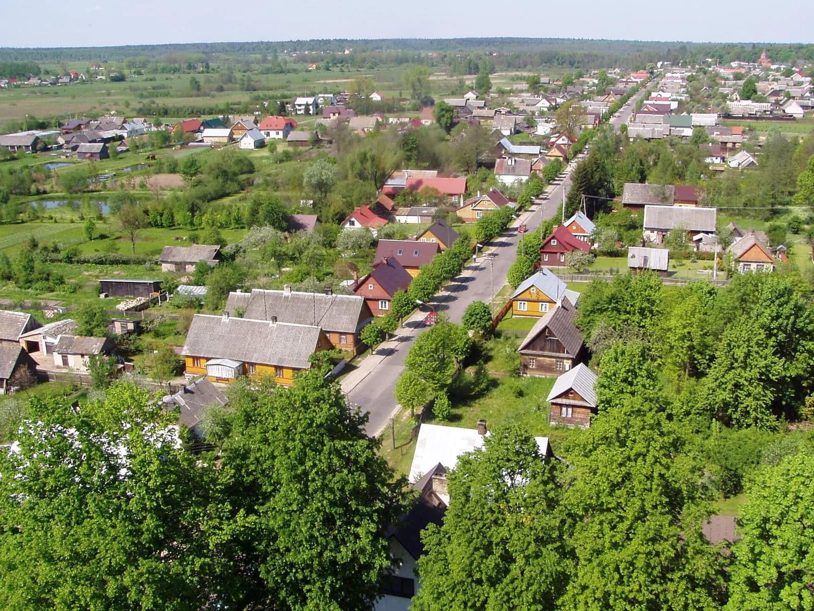 Białowieża
