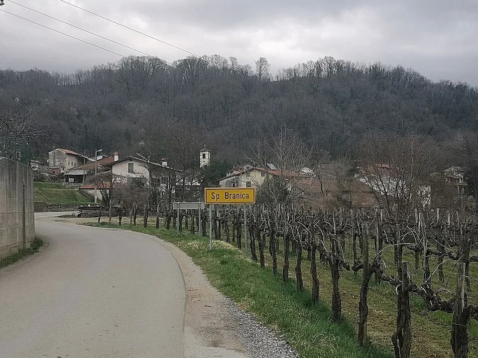 Spodnja Branica