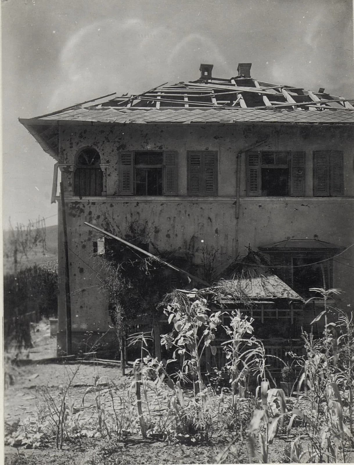 Bukovica