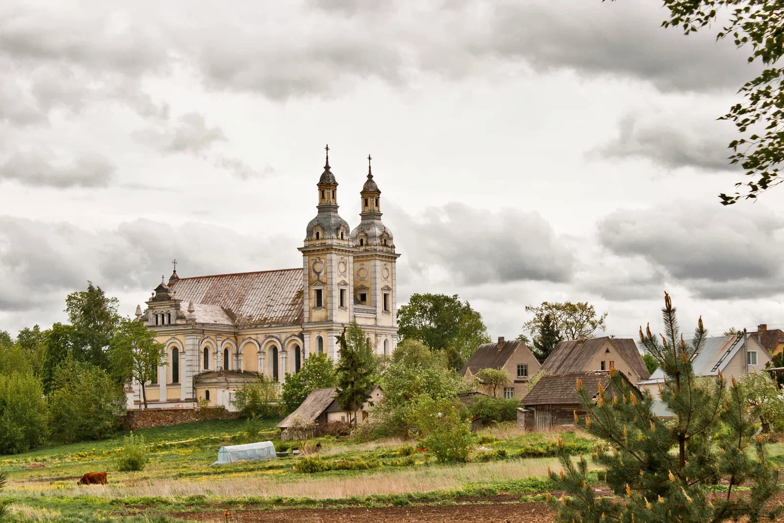 Šeduva
