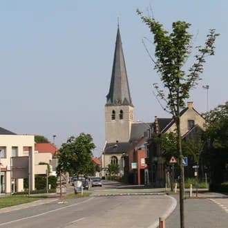 Vrasene