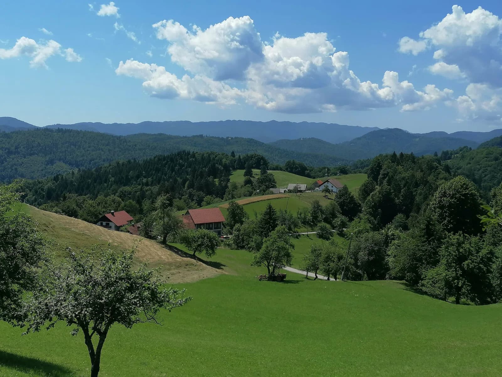 Jelični Vrh