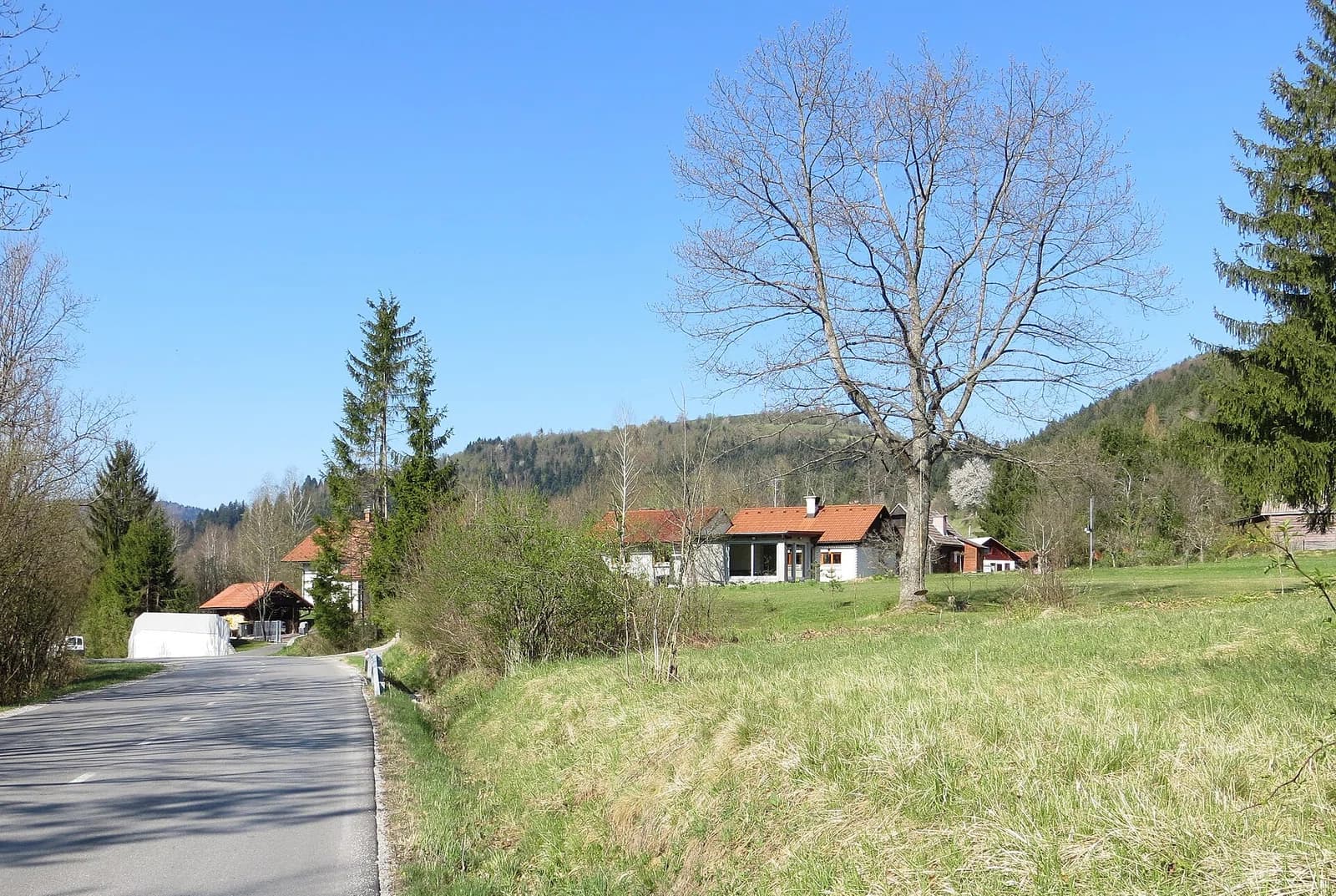 Podlog