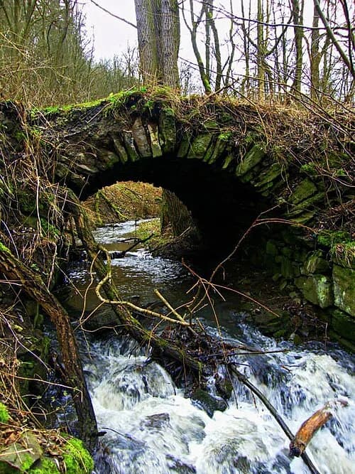 Grün